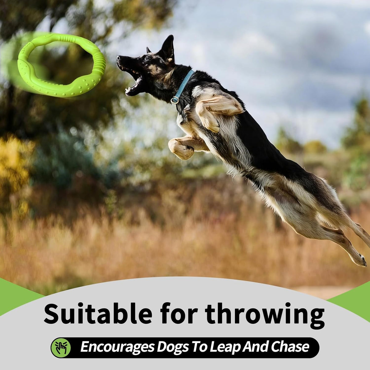 LaRoo Dog Flying Ring Toys, Floating Flying Disc Toys - Green-M - image 4