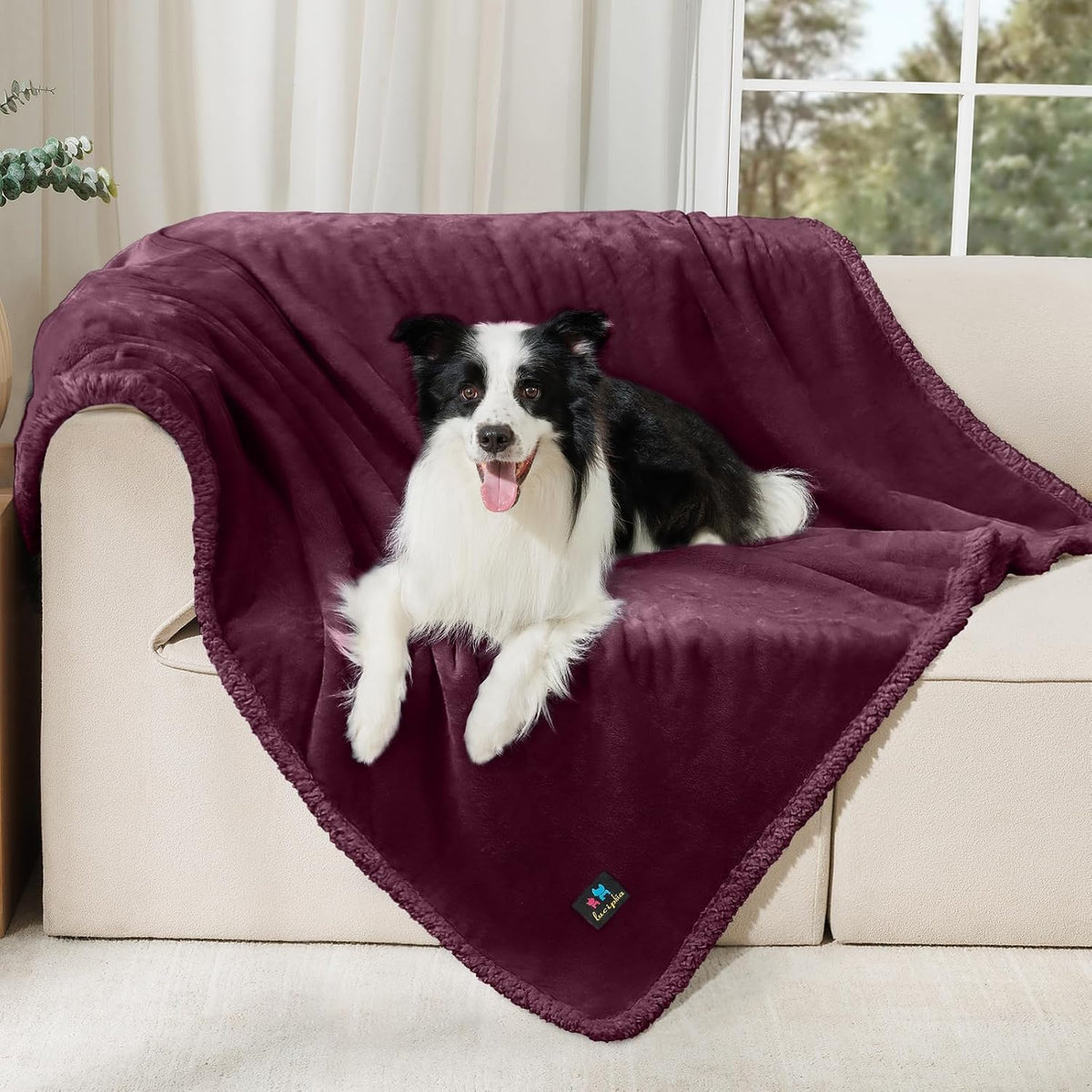 Waterproof Pet Blanket, Liquid Pee Proof Dog Blanket for Sofa Bed Couch, Reversible Sherpa Fleece - L (65" x57") / Concord Grape-thicken