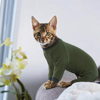 PUMYPOREITY Sticky Hair Cat Clothes, Prevent Hair Loss Cat Pajamas, Soft Cat Sweaters for Cats Only, Cat Hair Sticky Onesie, Cat Recovery Suit After Surgery, Green, S