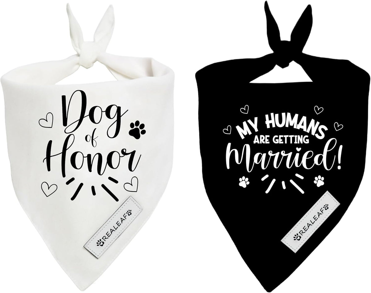 Big Brother Dog Bandanas Pet Scarf for Small and Medium Male Dogs New - Dog of Honor / Small