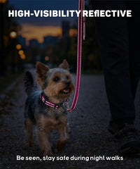 Small Dog Collar, Reflective Puppy Collar, 3/8" Width - Hot Pink / XS: 3/8"x(8-12") - image 4