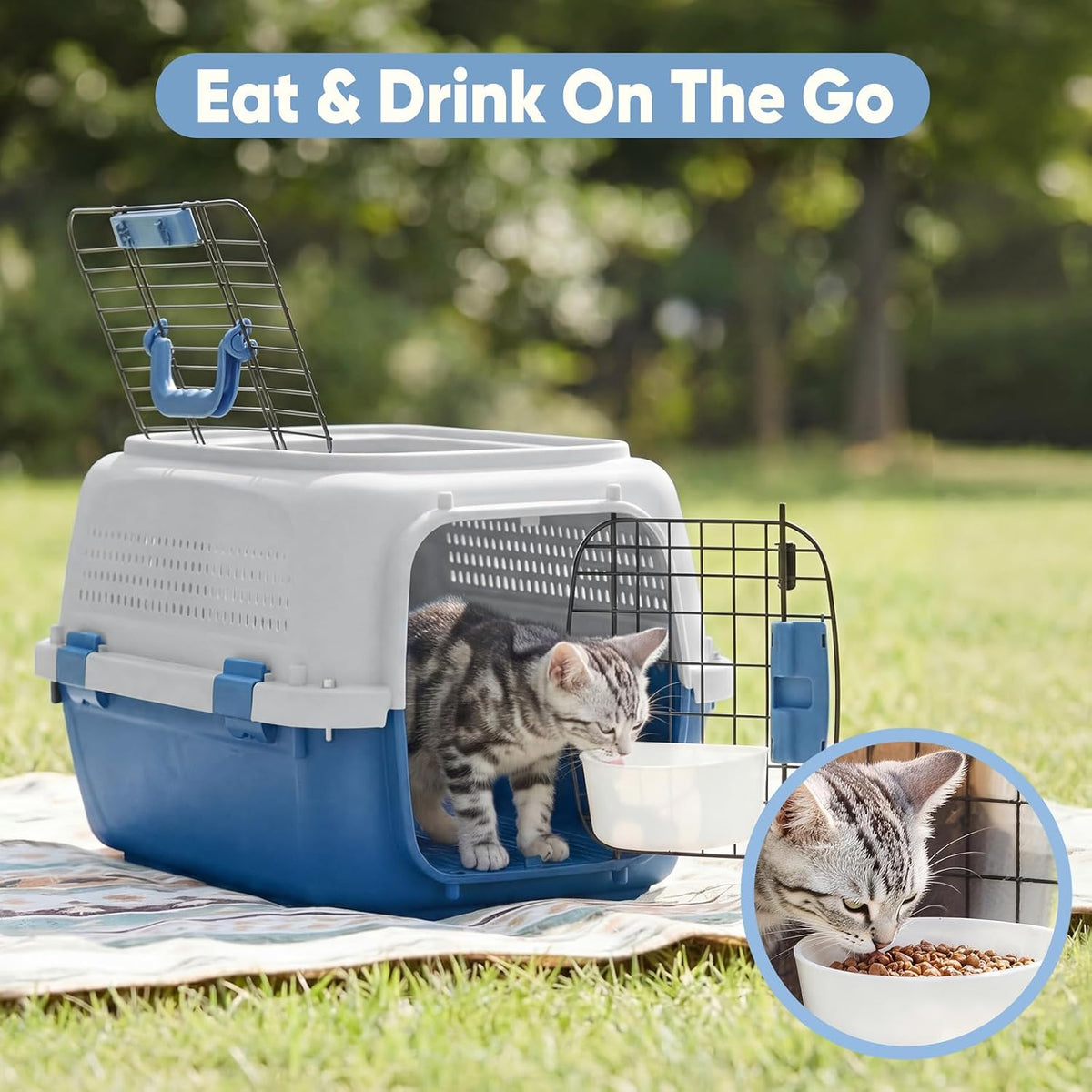 DUMOS 23" Hard-Sided Pet Carrier for Small Pets - Blue / 22.4"L x 14.6"W x 13.0"H - image 4