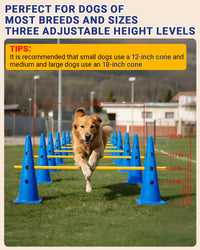 Dog Agility Course Backyard Set - 18 IN / Blue - image 2