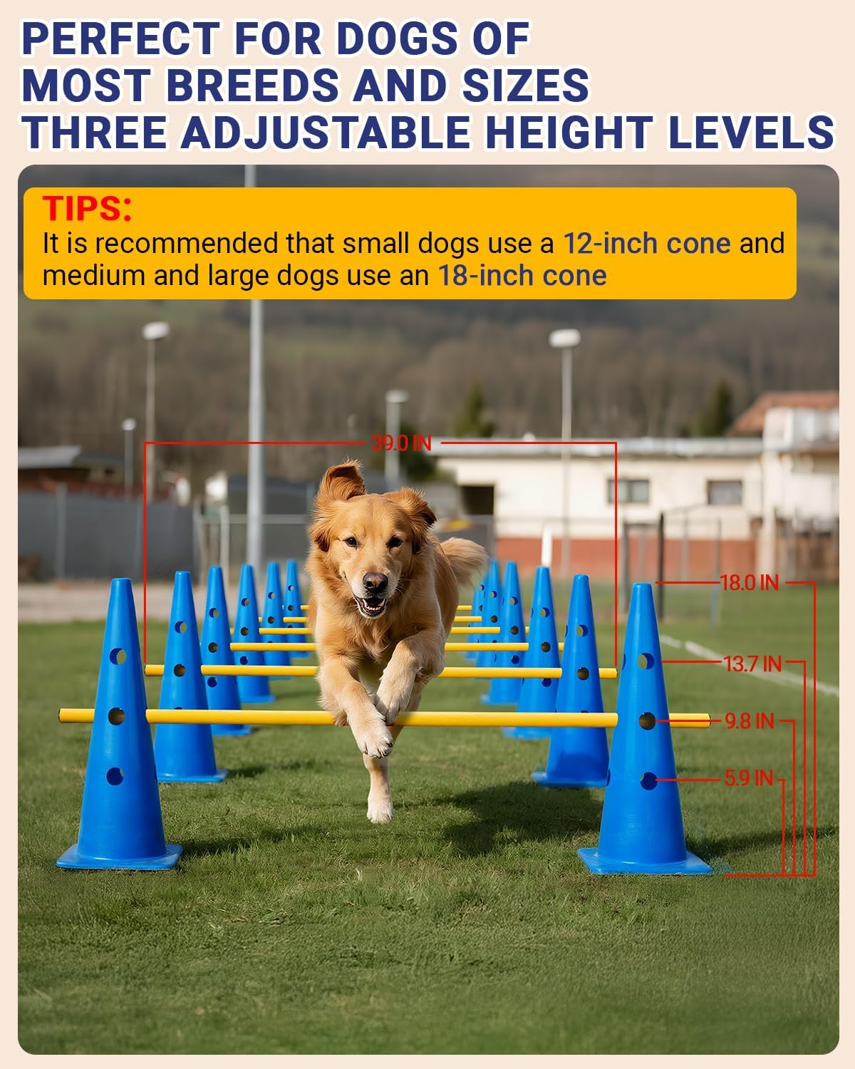 Dog Agility Course Backyard Set - 18 IN / Blue - image 2
