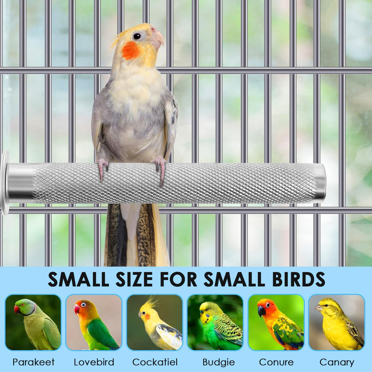 KATUMO Parrot Perch - Stainless Steel African Grey Perch Bird Cage Accessories for Small to Large - S: 6 x 0.7 inch - image 2
