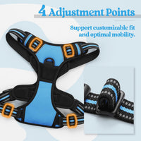 rabbitgoo Dog Harness, No Pull for Large Dogs with 2 Leash Clips - Small / Blue - image 4