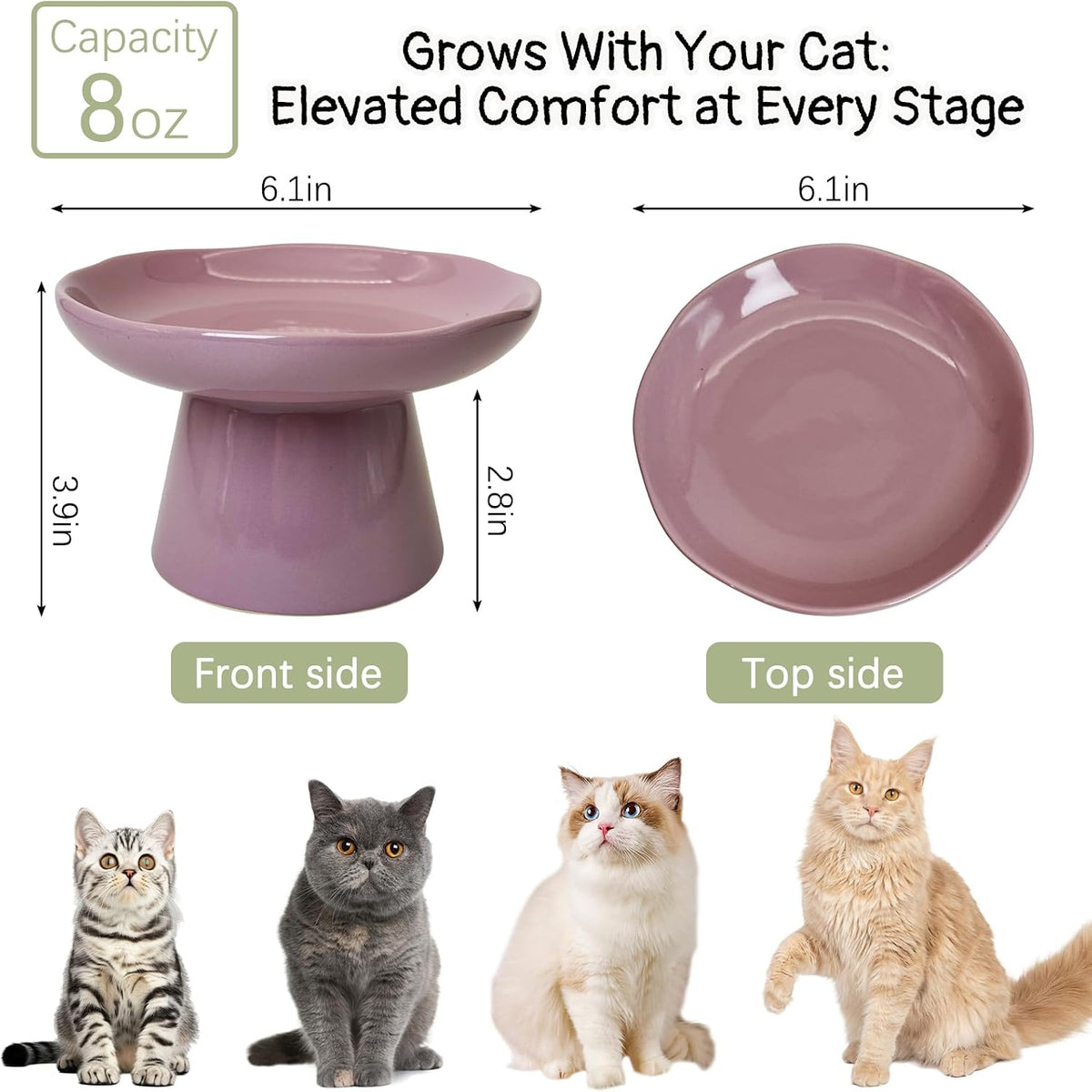 VCEPJH Elevated Cat Bowls 6.1in Wide Shallow Ceramic Raised Food Dish – Essentials for Cats - Purple(Pack of 2) - image 4