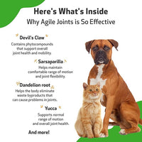 Pet Wellbeing Agile Joints for Dogs - Hip and Joint Health, Mobility, Devil’s Claw, Boswellia, Joint Ligament and Cartilage - Veterinarian-Formulated Herbal Supplement 4 oz (118 ml)