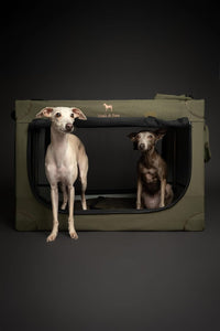 Noah & Paw XXL Collapsible Dog Crate, 42" - Green / 30.0"L x 21.2"W x 21.2"H - image 4