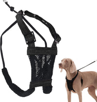 Sporn No Pull Dog Harness - Large/X-Large / Black