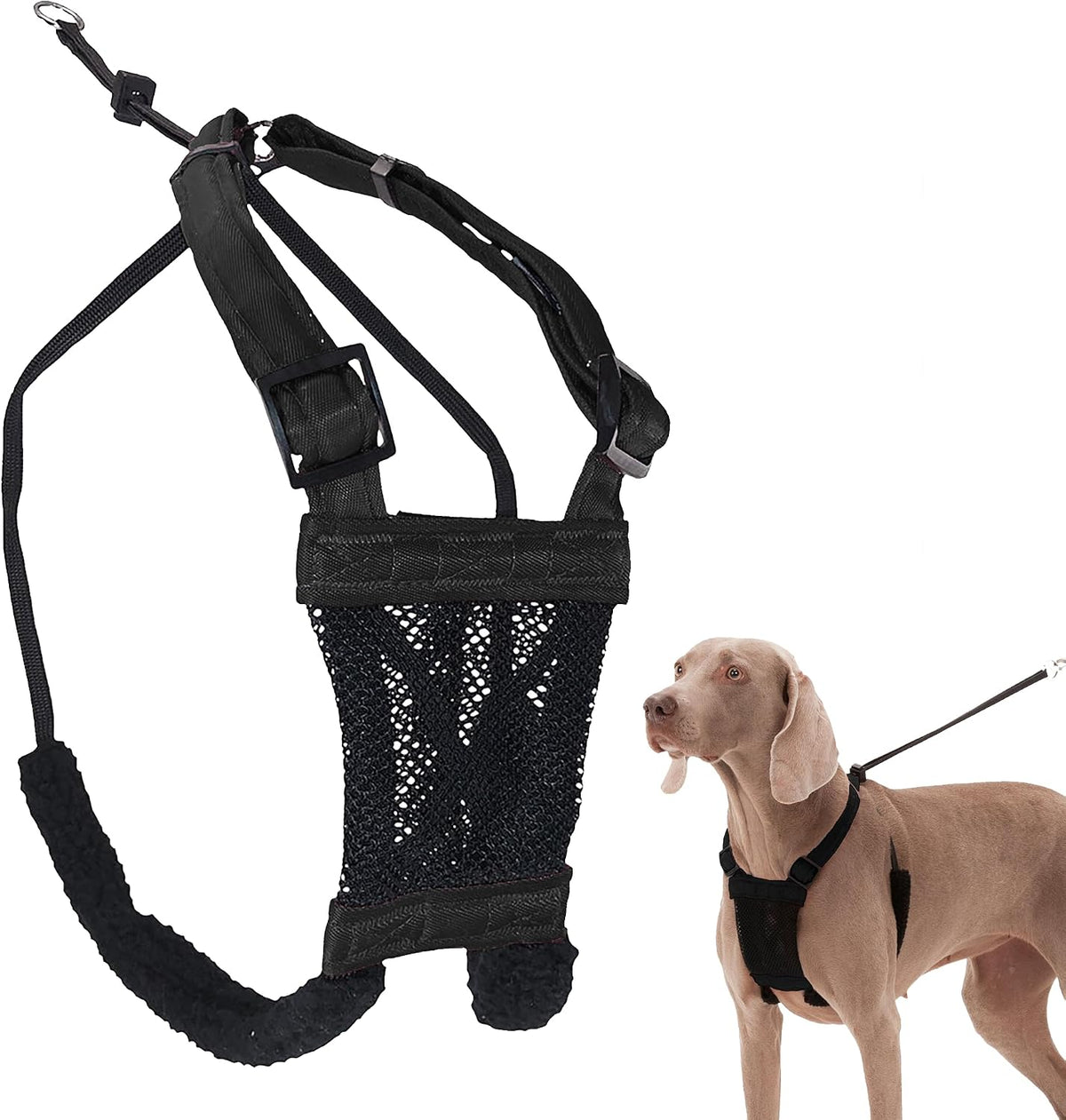 Sporn No Pull Dog Harness - Large/X-Large / Black