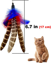 Cat Feather Toys Refills, 6 Pieces Handmade Da Bird Feathers Refill, Cat Wand Replacement Feather - A-6 PCS Feather Refills - image 4