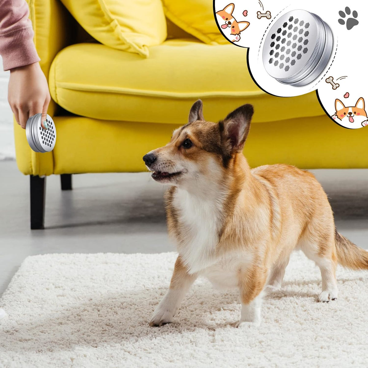 12 Pack Dog Scent Work Tins - Hexagon - image 4