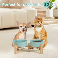 SPUNKYJUNKY Elevated Dog Bowls Ceramic, 5.1'' Dogs and Cat Food Water Bowls Raised with Non-Slip Bamboo Stand for Puppy Small Sized Breed Microwave Dishwasher Safe - 13.5 OZ,Light Green