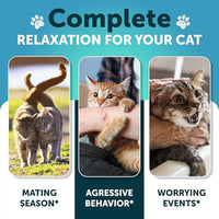 Hemp Cat Calming Treats for Stress & Anxiety Relief - Cat & Kittens - Melatonin - Storm Anxiety, Сomposure, Grooming, Separation, Veterinary Visits, Travel Care - Calming Aid with Hemp Oil - 135 Chews