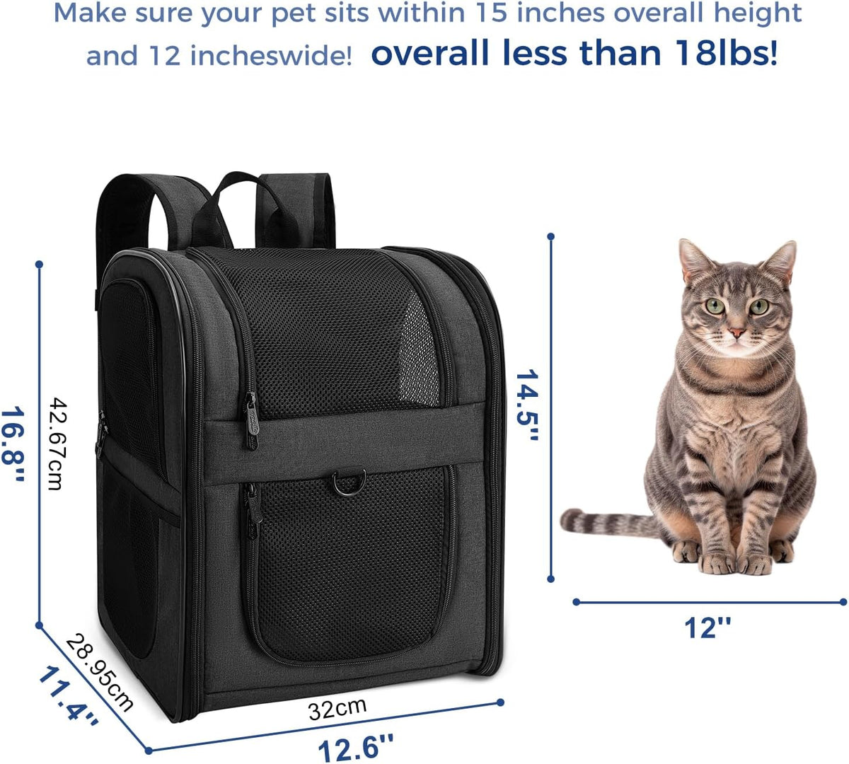 Apollo Walker Cat Backpack Carrier, Support Frame - Black / Medium-Standard - image 2