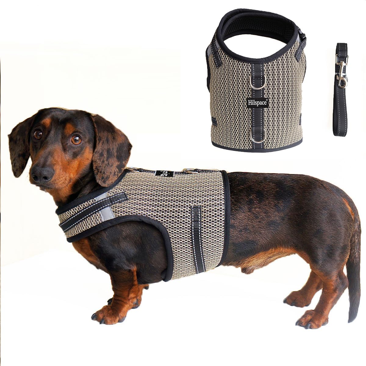Mini Dachshund Harness, No Armpit Rub, Escape Proof, Reflective - Khaki / S: Chest 32-41cm (12.5"-16")