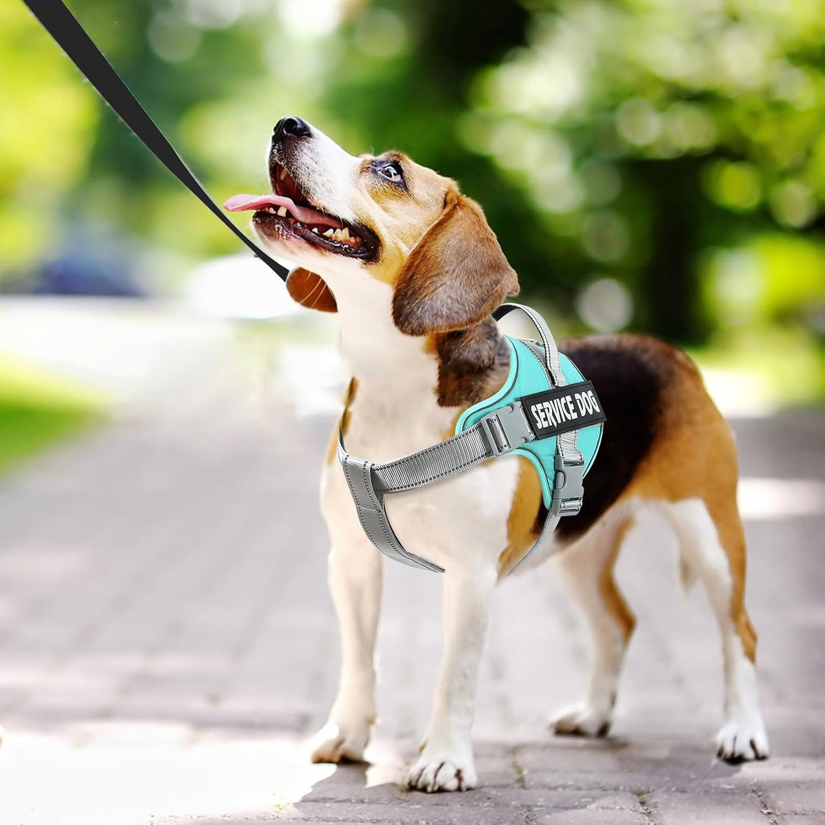 voopet Service Dog Harness, Emotional Support Pet Vest Harness - X-Small (Pack of 1) / MintGreend - image 3