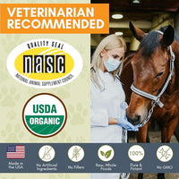 Wholistic Pet Organics Equine Complete: Horse Multivitamin for Total Body Health - Horse Supplement with Vitamins, Minerals, Prebiotics, Probiotics - Organic Pumpkin Flavor - 4 Lb