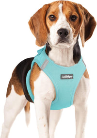 rabbitgoo Step-in Small Dog Harness - Mint Blue / Xl(chest:20.0"-21.8")