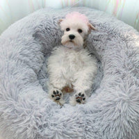 Cat Bed for Indoor Cats, Mini Plush Self Warming Kitten Bed - Medium 24'' / Light Grey - image 2