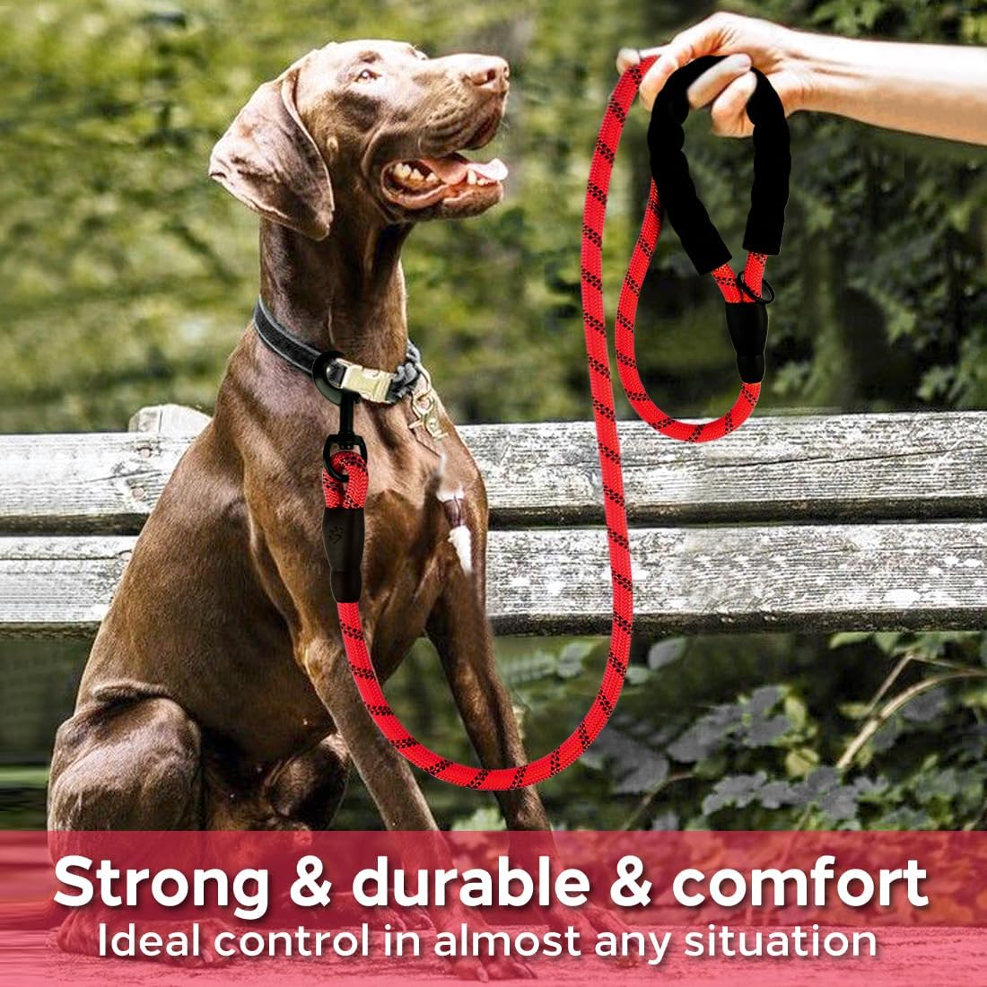 COOYOO 2 Pack Dog Leash 5 FT Heavy Duty - 1/2"x 6 FT (18~120 lbs.) / 1 Pack A-Red - image 2