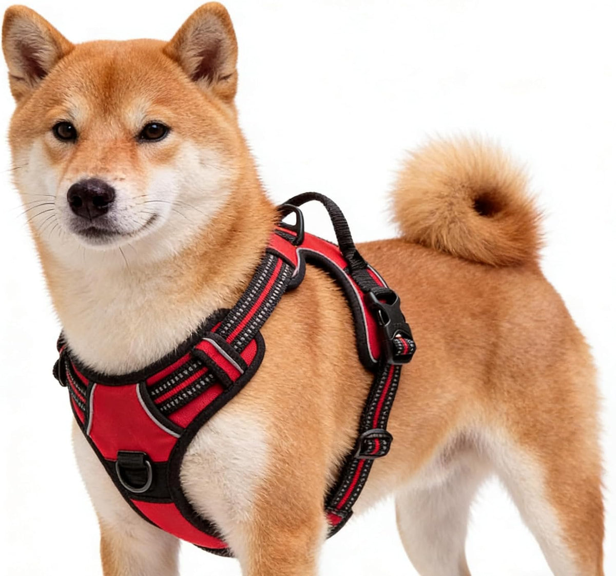 Blue No-Pull Dog Harness with 2 Leash Clips，Soft Padded Vest - Medium / Red