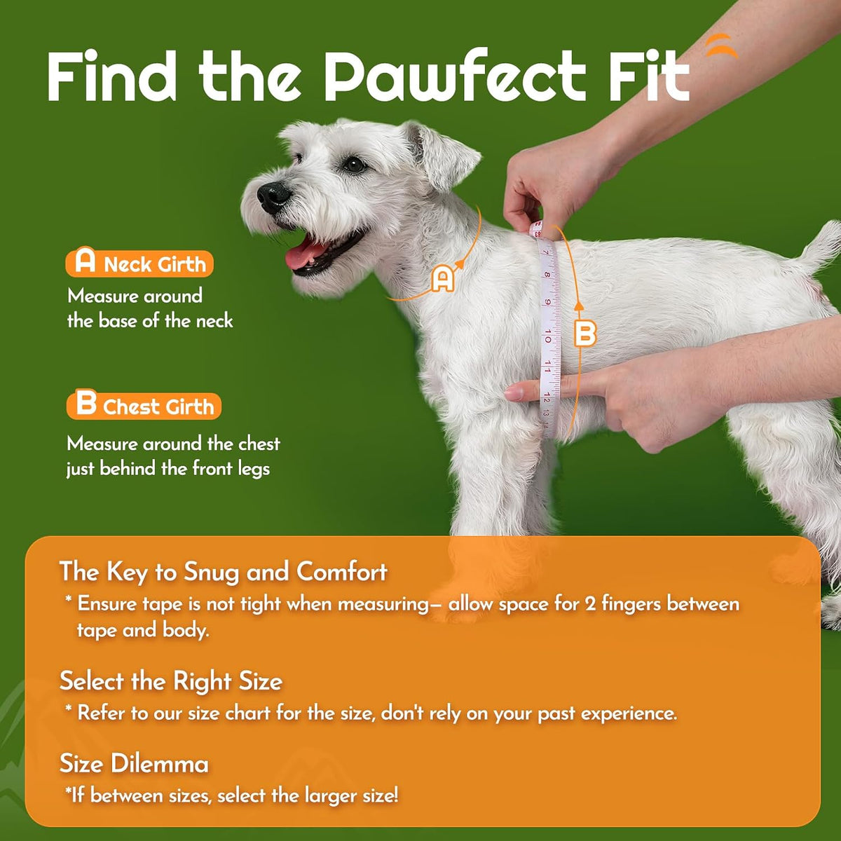 Eagloo Small Dog Harness and Leash Set - XS(Chest:13.3"-15.5") / Green - image 2