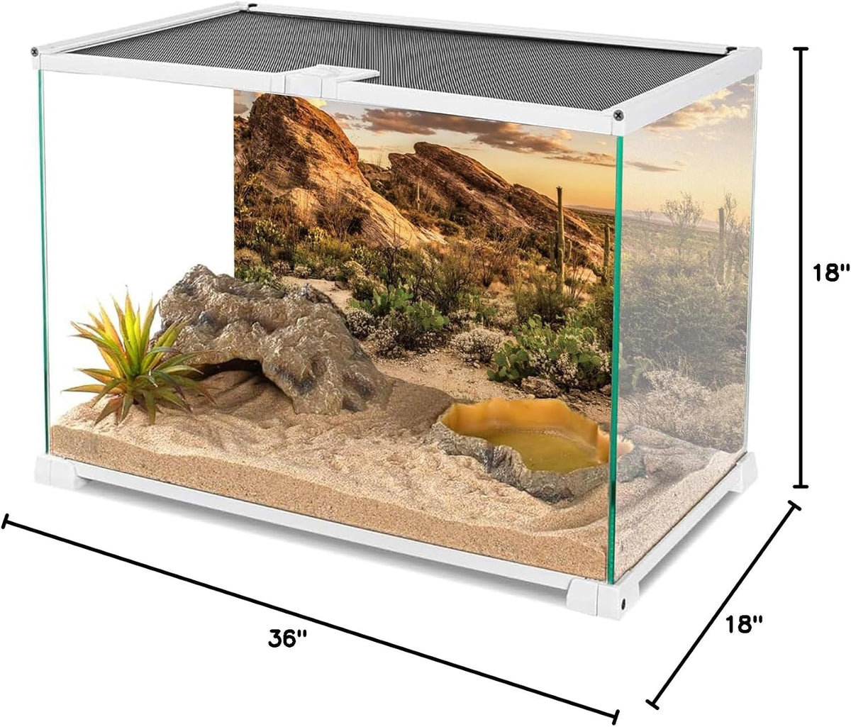 36x18 in Desert Reptile Habitat Backdrop Oasis Cactus Terrarium - 36x18 inches - image 2