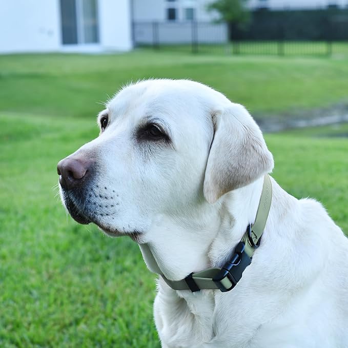Dogline Biothane Waterproof Dog Collar with Quick Release Buckle Strong Coated Nylon Webbing with Odor- Proof for Easy Care Easy to Clean Fits Small Medium Large Dogs, Sage Green 1" W 15-23" L
