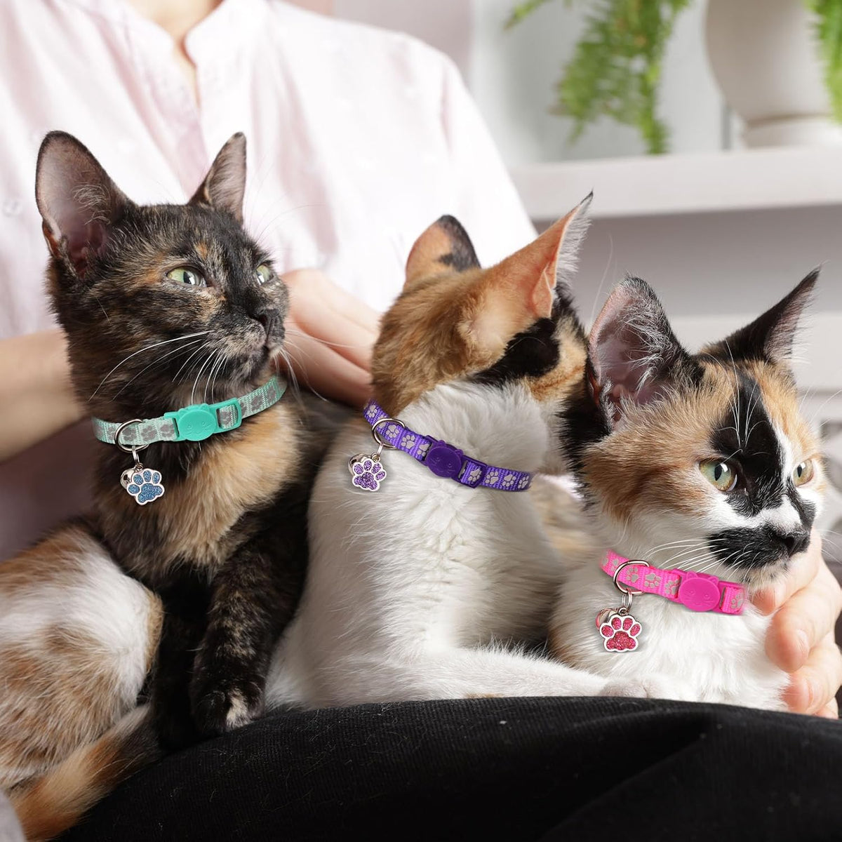 4PCS Breakaway Cat Collars, Reflective Cat Collar with Bells - 6-9 Inch / Purple+Hotpink+Red+Teal - image 3