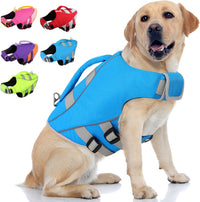 Queenmore XS Dog Life Jacket - Large / Lake Blue