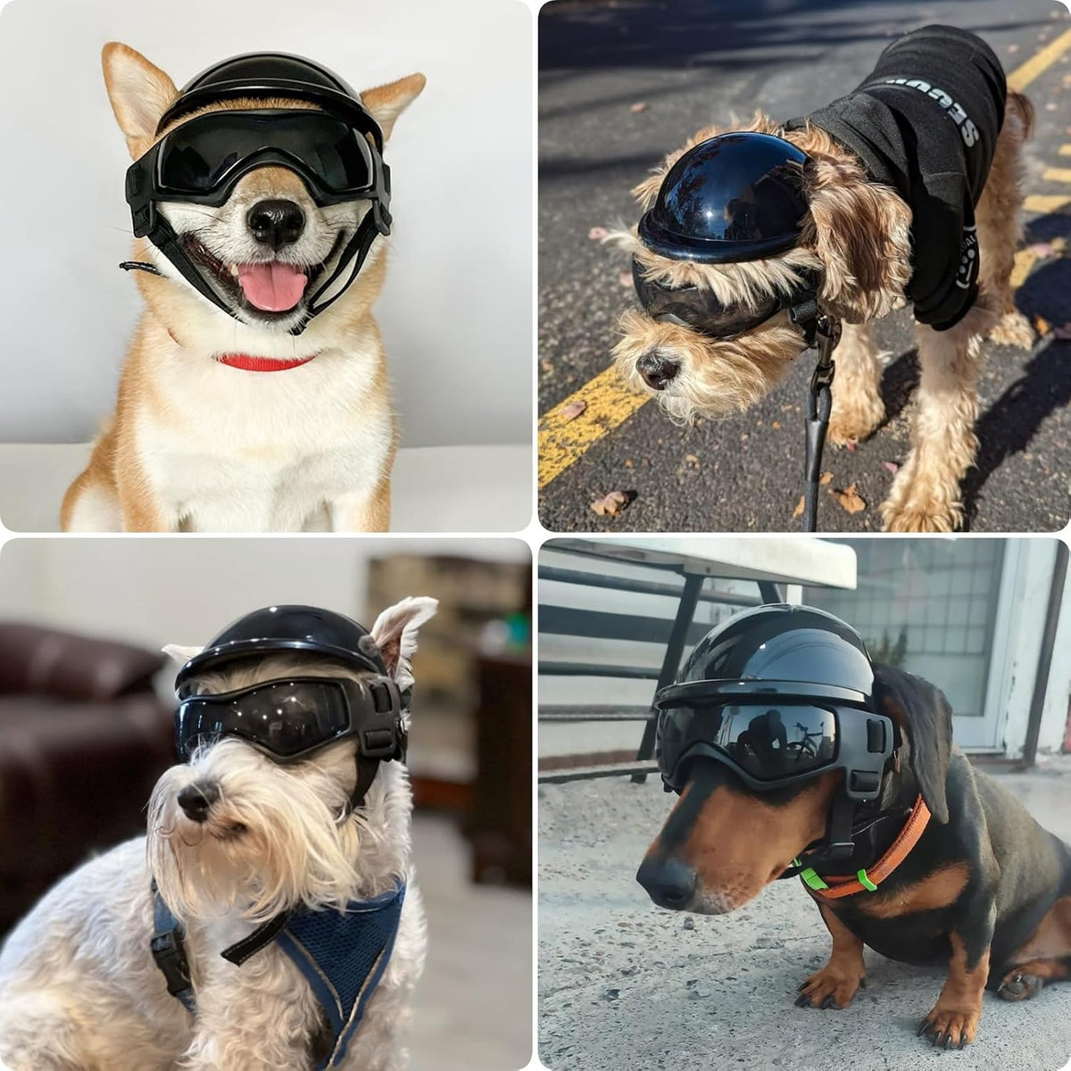 Small dog helmet and goggles set with UV lenses and adjustable straps - view 2