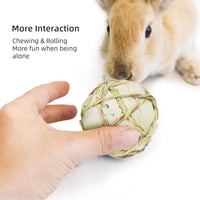 andwe Small Animals Play Activity Balls Rolling Chew Toys – Essentials for Small Pets - Pack of 4 - image 4