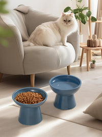 Elevated Cat Food and Water Bowls Set - 2 Pack (Food & Water Bowls) / Deep Blue - image 4