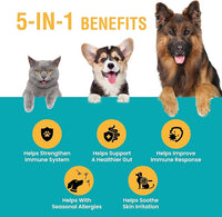 Special Breed Allergy & Immune with Elderberry, Allergy Relief for Cats and Dogs, Anti Itch Treatment, Relief for Pet Allergies, Immune Support for Cat or Dog, 4 oz