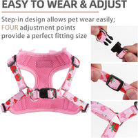 PUPTECK Dog Harness and Leash Set Small Sized - XS (9-13lbs, Chest 14"-16") / #2 Pink(Strawberry Print) - image 3