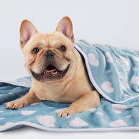 1 Pack 3 Blankets Super Soft Cute Dot Pattern Pet Blanket Flannel - Purple/Pink/Cyan / 30x20 inch (Pack of 3) - image 4