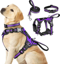 WINSEE Pet Harness Collar and Leash Set - Large / Purple