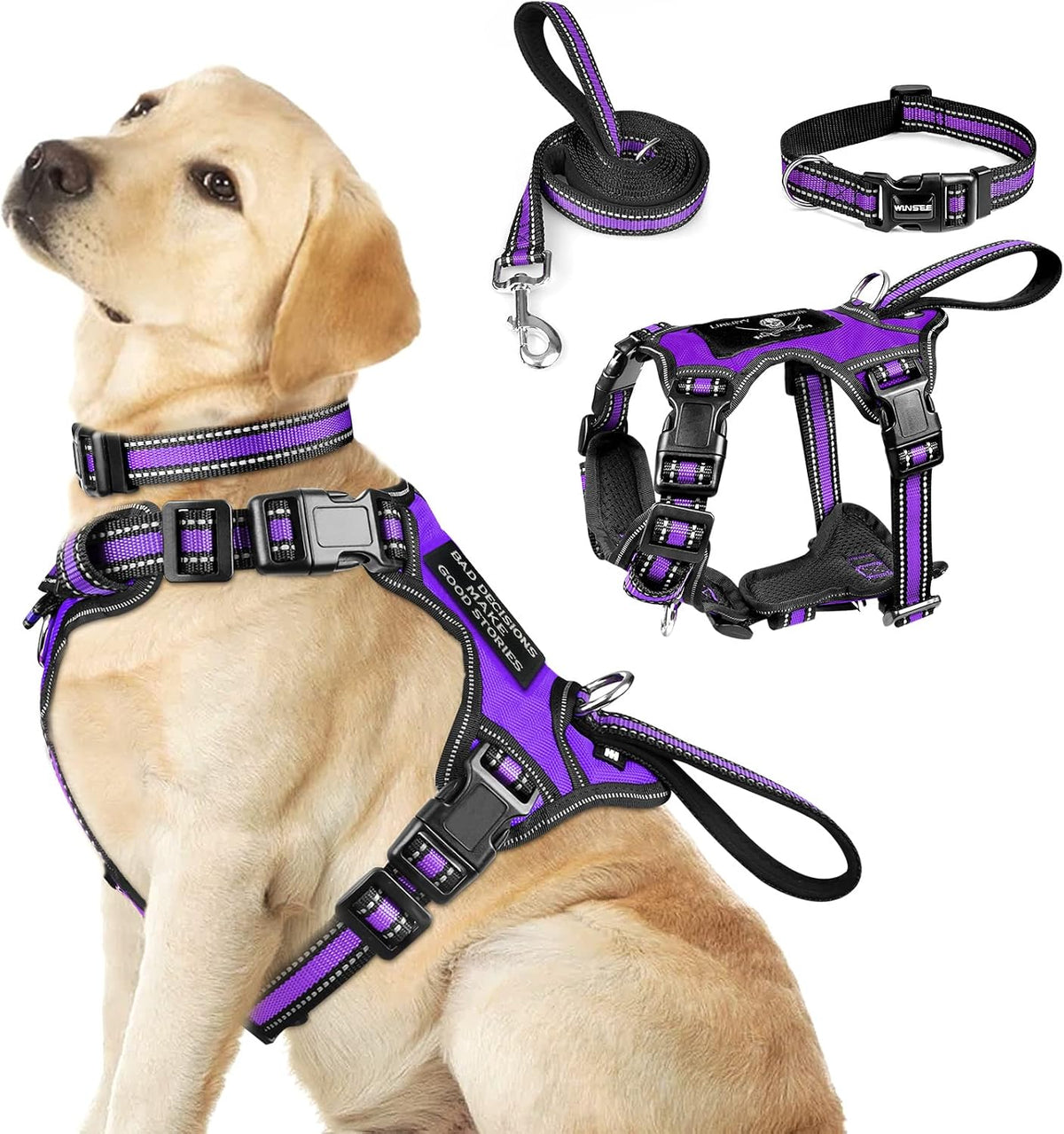 WINSEE Pet Harness Collar and Leash Set - Large / Purple