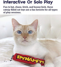 Catstages Green Magic Dynamite Stick Catnip Cat Toy, Red