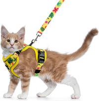 Cat Harness and Leash Set, Escape Proof Kitten Harness, Black - H604 Pro Bright Yellow / Small (7-12lb)