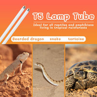 T5 UVB Reptile Light 24W 10.0, UVA UVB Light Bulb for Reptiles - 2 pack T5 Tube-8W 10.0 - image 4