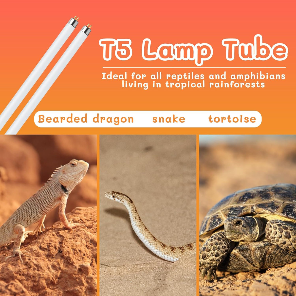T5 UVB Reptile Light 24W 10.0, UVA UVB Light Bulb for Reptiles - 2 pack T5 Tube-8W 10.0 - image 4