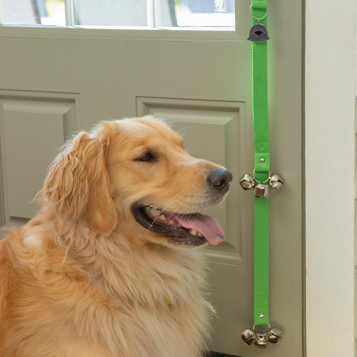 Caldwell's Pet Supply Co. Dog Potty Bells, Dog Door Bell - One Potty Bell / Green - image 3