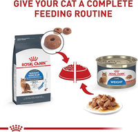 Royal Canin Feline Weight Care Thin Slices in Gravy Canned Adult Wet Cat Food, 5.1 oz can (24-Count)