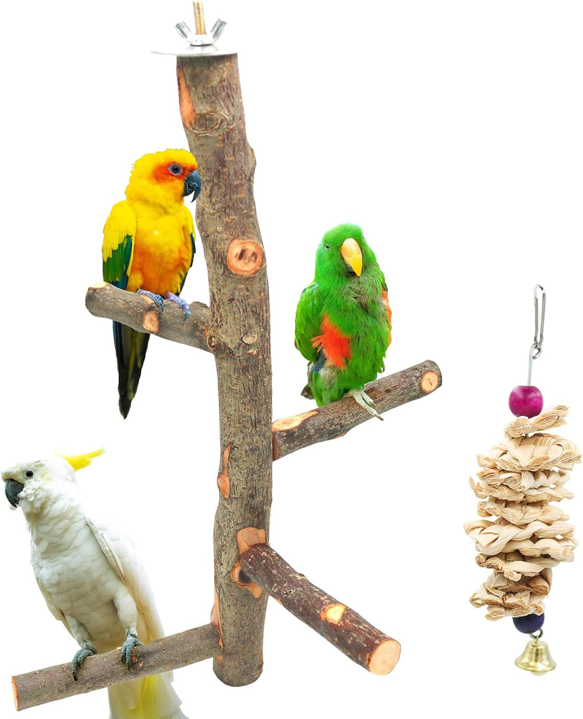 Bird Perch Nature Apple Hard Wood Stand
