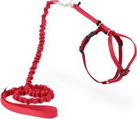 PetSafe Come With Me Kitty Harness and Bungee Cat Leash - Small (Pack of 1) / Red