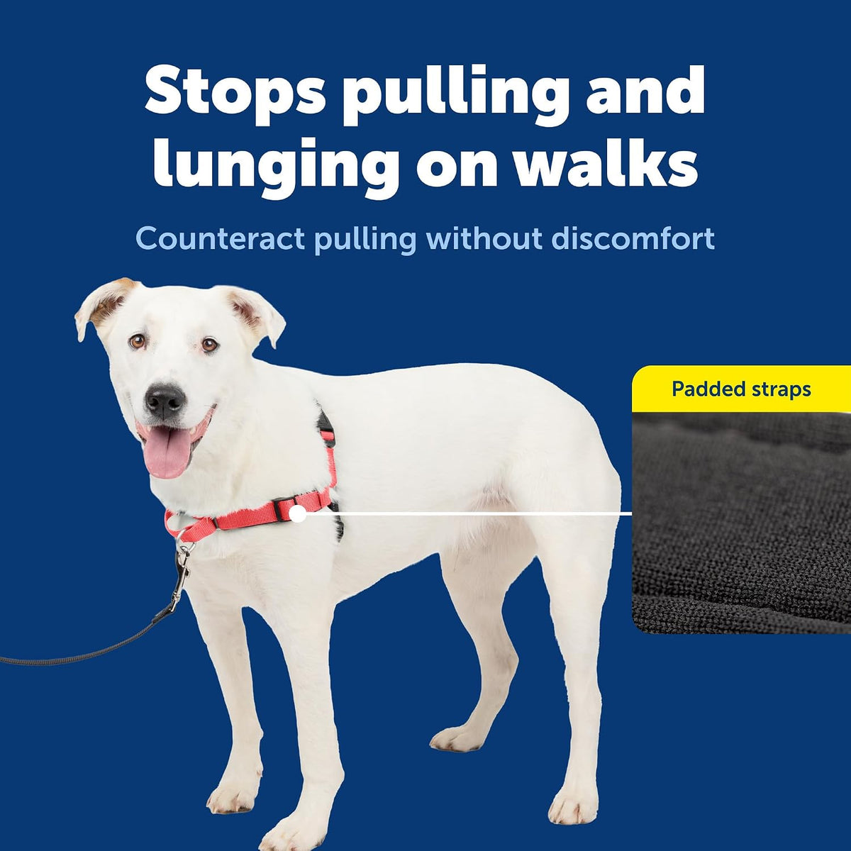 PetSafe Easy Walk Deluxe Dog Harness, No Pull Dog Harness - Medium/Large / Rose Red - image 4