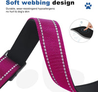 Reflective Martingale Dog Collars. Dog Collar with Quick Release - XS:3/4" Wide for 11.5"-13.5" Neck / Rose Red - image 4